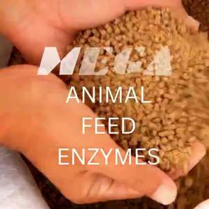 NutriSyn <b>Feed</b> Optimizer <b>Enzyme</b> and <b>Feed</b> Additives Vitamins Promote Healthy Growth & Nutrition for <b>Feed</b> Grade Application - Product Image 4