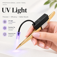 Machine de polymérisation UV rechargeable mini pour colle à cils, portable, pour salon de beauté, fournisseur en gros