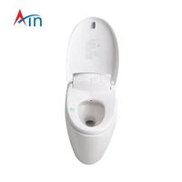 Vente à chaud en Corée ensemble de toilette multifonction automatique toilette intelligente pour salle de bain