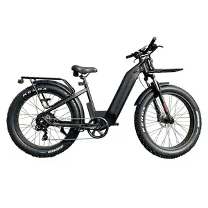 OUKA OEM 제조업체 로우 스텝 오버 스루 비치 크루저 시티 Ebike 팻 타이어 E-사이클 리어 랙이있는 전기 하이브리드 자전거