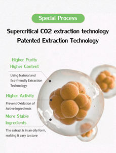 Hetchyn Premium + 10% doğal beta karoten yağı organik dunaliella salina SFE Co2 özü - Product Image 3