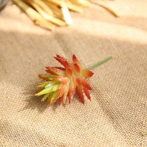 CallaFloral Plantes succulentes artificielles en plastique, fleurs décoratives rouges d'automne, plantes épineuses pour la photographie à domicile, e-commerce transfrontalier - Product Image 3