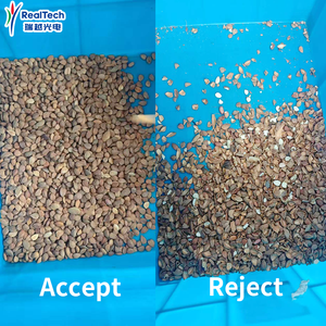 Trieuse optique industrielle IA haute vitesse (0,2-1 TPH) pour amandes, légumineuses et céréales – Ligne de tri optique pour la sécurité alimentaire - Product Image 2