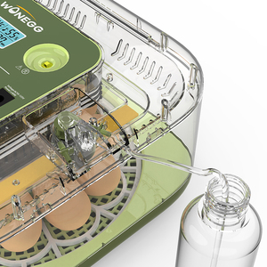 WONEGG Incubatrice per Uova di Piccole Dimensioni di Alta Qualità per 12 Uova di Uccellino in Vendita al Miglior Prezzo - Product Image 6