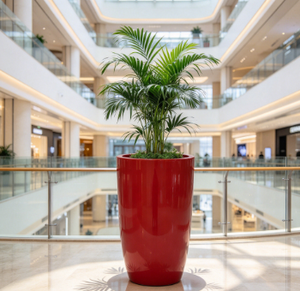 Modern Tapered Fiberglass <b>Planter</b> <b>Large</b> FRP Flower Pot Multi Color Custom Outdoor Indoor Hotel Mall Garden Landscape <b>Planter</b> - Product Image 5