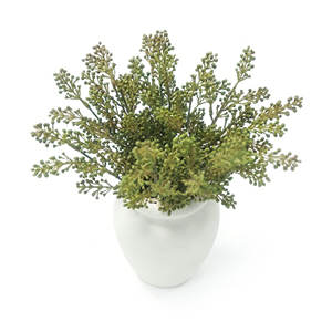 Plante artificielle en pot de 39 cm de haut, imitation bonsaï de haricots, 2 tiges, en céramique, avec adhésif thermofusible, pour décoration intérieure - Product Image 5