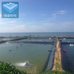 Pond <strong>Liner</strong> Prix 2mm 0.75mm <strong>HDPE</strong> <strong>Liner</strong> Geomembrane for Fish Farm Slurry Lagoon Dam <strong>Liner</strong> - Product Image 2