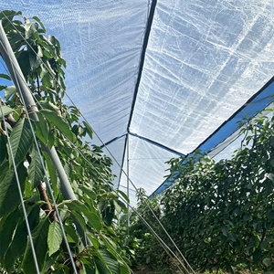 Film PE transparent tissé en plastique agricole <span class=keywords><strong>pour</strong></span> la protection contre la pluie des vergers et vignobles, 130 g/m² 150 g/m², <span class=keywords><strong>pour</strong></span> raisin de table, export France - Product Image 1