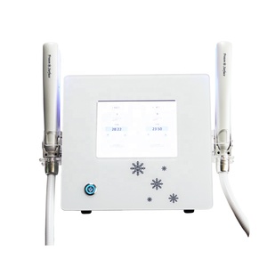 เครื่องดูแลเส้นผมแบบพกพา DTY รุ่นสีขาว DH-2068 รับประกัน <span class=keywords><strong>1</strong></span> ปี สำหรับใช้ในร้านเสริมสวยมืออาชีพ ใช้ความเย็นจัดแบบน้ำแข็ง - Product Image 2
