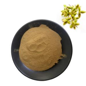 Xanthium Strumarium P.E. Kurutulmuş Xanthium Sibiricum tohum tozu 10:1 Cang Er/sibirya <span class=keywords><strong>Cocklebur</strong></span> meyve/Xanthium Sibiricum özü - Product Image 2