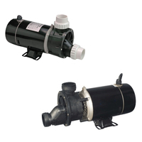 WPB-100 WPB100 TDB-100 TDB100 0.75kw PPO ABS Plastik SPA Pijat WHIRLPOOL BATHTUB POMPA Produsen OEM
