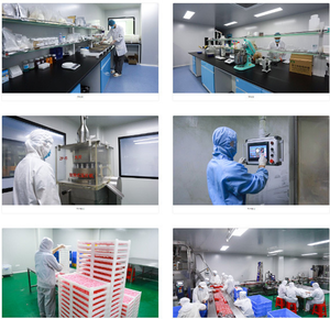 ผงรูบา<span class=keywords><strong>ร์</strong></span>บ10:1 20:1ผงสกัดจากรากรูบา<span class=keywords><strong>ร์</strong></span>บสมุนไพรจีนดั้งเดิม - Product Image 5