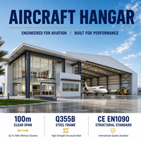 Hangar pour avions privés, structure en acier, bâtiment aéronautique, stockage d'avions, installation aéroportuaire, conception sans colonnes