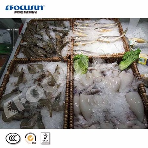 Máy Làm Đá Vảy Dung Tích Nhỏ 1 Tấn Chất Lượng Cao Giá Thấp - Product Image 2