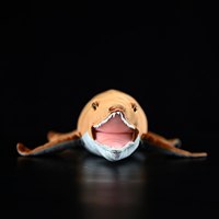 Peluche de Pliosaurio de Simulación Personalizado, Muñeco de Dinosaurio de Peluche para Exhibición en Museos de Paleontología Marina, Fabricación Personalizada OEM ODM