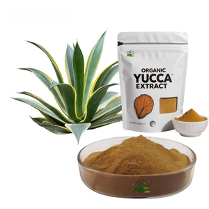 動物飼料用サルサポニンユッカ粉末100% 植物エキスユッカシディゲラエキス30%-60% - Product Image 6