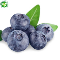 FD vente en gros de fruits secs en vrac congelés comestibles SD fraise séchée emballage en vrac framboises séchées myrtille séchée chine 10 Kg