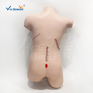 Modèle de démonstration de suture et de pansement chirurgical ; modèle d'opération pour la formation infirmière ; pour utilisation en école de soins infirmiers - Product Image 3