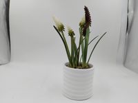 Plante artificielle haut de gamme en jacinthe de vigne, verdure artificielle en pot avec des tiges de fleurs réalistes de couleur violet foncé et blanc crème