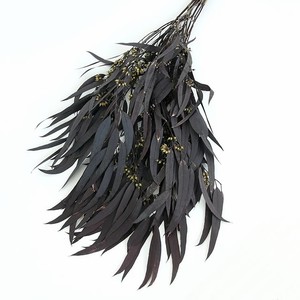 Fournisseur d'usine en gros : <span class=keywords><strong>Eucalyptus</strong></span> préservé, <span class=keywords><strong>Eucalyptus</strong></span> sauvage, <span class=keywords><strong>Eucalyptus</strong></span> <span class=keywords><strong>séché</strong></span> au toucher naturel - Product Image 4