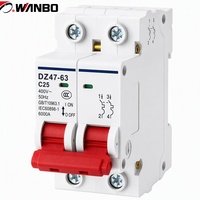 Disjoncteur miniature Wanbo-405 DZ47-63 2P 400V avec protection contre les surcharges et les courts-circuits pour tableau de distribution intérieur