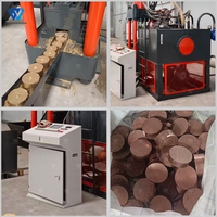 Presse à briquettes hydraulique verticale pour copeaux de métal, machine à briquettes pour déchets d'aluminium pour fonderie