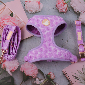 Venta al por mayor accesorios para mascotas personalizado suave acolchado lindo diseño <span class=keywords><strong>floral</strong></span> correas para perros con soporte para bolsa de caca - Product Image 5