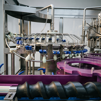 Machine de remplissage automatique de boissons gazeuses en bouteille de verre 3 en 1 monobloc pour eau gazeuse et jus pétillant