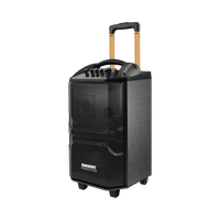 M Bluetooth Trolley Speaker 12 pouces Big Power Pro Audio Powered Speaker Active Sound Karaoke Speaker