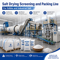 Salt Drying Screening and Packing Line for Edible and Industrial Salt