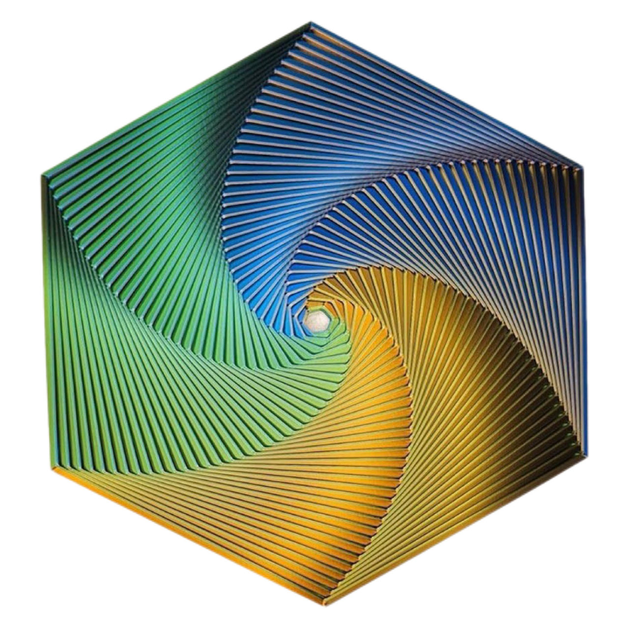 coloré 6