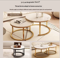 Table basse pour salon, usage domestique, style minimaliste moderne, petite table d'appoint pour appartement, table créative de style nordique, légère et luxueuse
