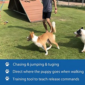 Dayanıklı açık interaktif naylon kauçuk Teaser değnek polar halat Tether cazibesi köpeğin römorkör-of-War Chase flört kutup spor köpek oyuncak - Product Image 6