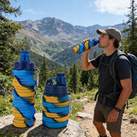 Gobelet pliable en silicone RTS, bouteille d'eau de voyage pliable, gobelet de camping portable, vente en gros