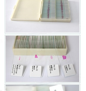 Lames préparées d'œufs de <span class=keywords><strong>nématodes</strong></span> mixtes, spécimens de parasitologie médicale, lames de microscope en verre et plastique pour l'enseignement médical scolaire - Product Image 4