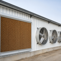 Bâtiment de ferme avicole préfabriqué en structure légère en acier au design moderne avec ventilation intégrée