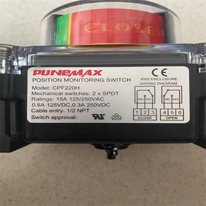 Interrupteur de surveillance de position PUNEMAX CPF220H Jaune, actionneur électrique importé - Product Image 2