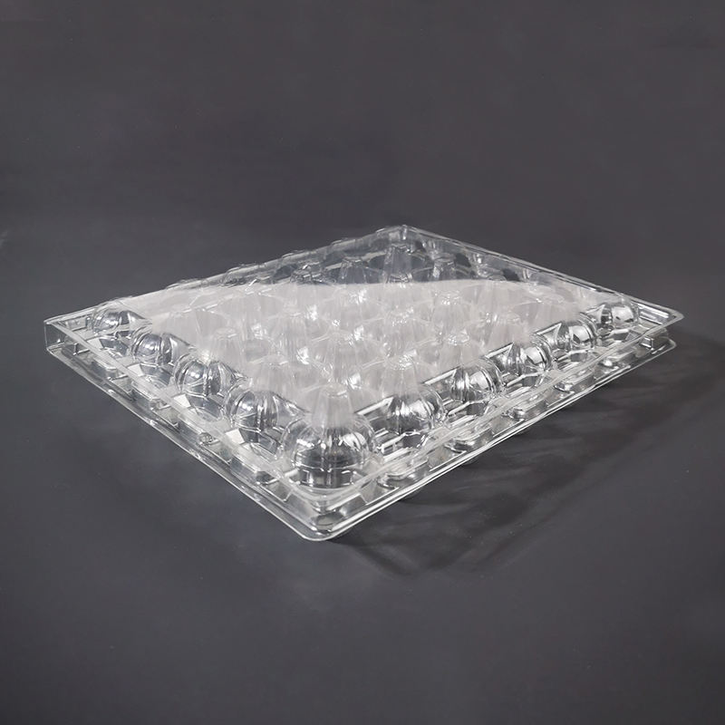 กล่องไข่นกกระทา30ช่อง