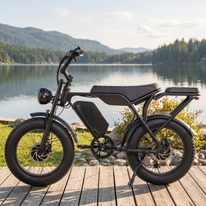 20 Zoll Elektro-Fatbike Mountainbike mit Vollfederung E-Bike Elektrofahrrad - Product Image 1