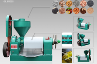 Presse à huile automatique à haut rendement YZYX95 pour l'extraction d'huile de graines d'Éthiopie, du Niger et de graines de ricin