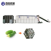 Séchoir à linge de type tapis maillé pour luzerne, copra, oignon, datte, palmier, fruits et légumes, vente directe usine