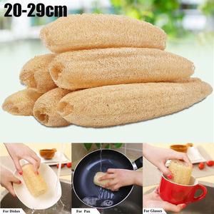 Éponge longue biologique biodégradable séchée, naturelle et écologique, pour application corporelle aux fruits entiers modernes - Product Image 1