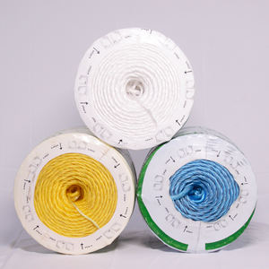 Best Selling Agriculture White Baler Twine,pp Splitfilm Baler Twine PP Baler Twine for Packing - Product Image 6