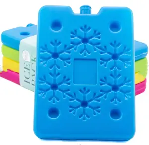 Plastic Reusable Gel Freezer Ice Cream Mini Large Ice Block Box Cooler Bag Lunch Box For Ice Brick Pack