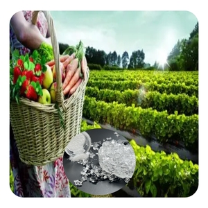 Siêu thấm <span class=keywords><strong>polymer</strong></span> bột nhựa cho nông nghiệp hấp thụ nước <span class=keywords><strong>sap</strong></span> tại giá cả cạnh tranh-tổng hợp <span class=keywords><strong>superabsorbent</strong></span> <span class=keywords><strong>Polymer</strong></span> - Product Image 5