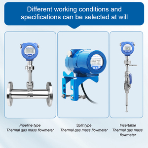 Ce cấp giấy chứng nhận nhiệt Khối lượng khí đo lưu lượng khí công nghiệp đo lưu lượng cho thời gian thực khối lượng dòng chảy totalized và nhiệt độ đọc - Product Image 3