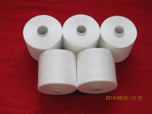 Sin nudos <span class=keywords><strong>TFO</strong></span> Twisting 19/<span class=keywords><strong>2</strong></span> China teñido cono hilado 100% poliéster hilo de coser patrón crudo ecológico Tex 62,16 personalizable - Product Image 3