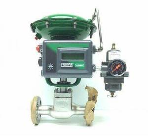 Controlador Digital Fisherr FIELDVUE DVC2000 para Válvulas de Control - Product Image 5