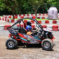 Go-Kart Todoterreno de 200 CC para Adultos, Go-Kart de Pedales Todoterreno, Karting Todoterreno Comercial de Alto Rendimiento, Personalizable Según se Necesite