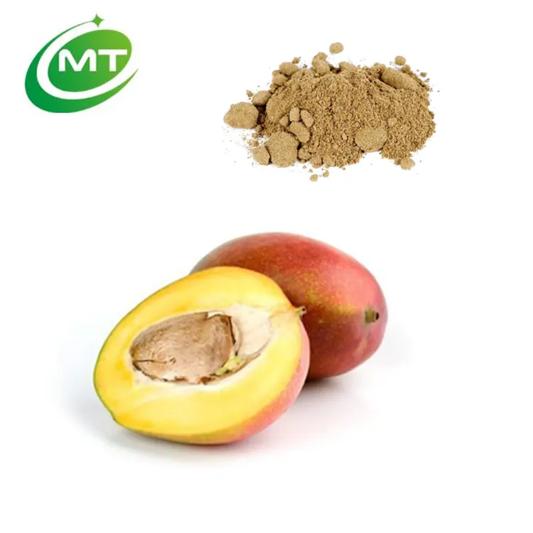 Échantillon gratuit 100% naturel extrait de graines d'Irvingia Gabonensis de qualité alimentaire poudre d'extrait de mangue africaine